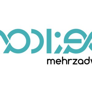 شرکت مهرزاد وب mehrzadweb